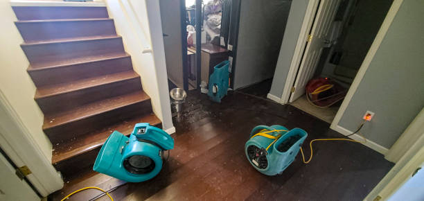 Water damage restoration mold remediation in WA