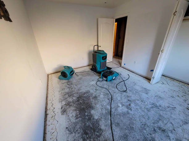 Best Water damage restoration process  in Coulee Dam, WA