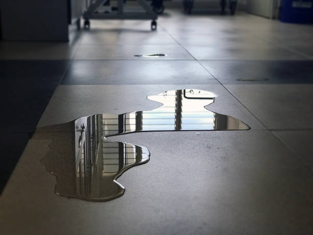 Local water damage restoration in WA