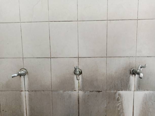 Best Local water damage restoration  in Coulee Dam, WA