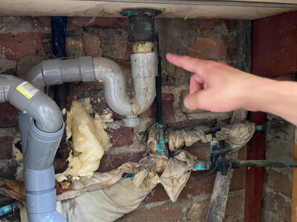 Best Water damage contractors near me  in Coulee Dam, WA